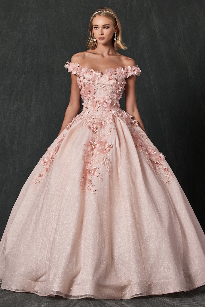 Floral embroidered and sparkling stones ball gown blush